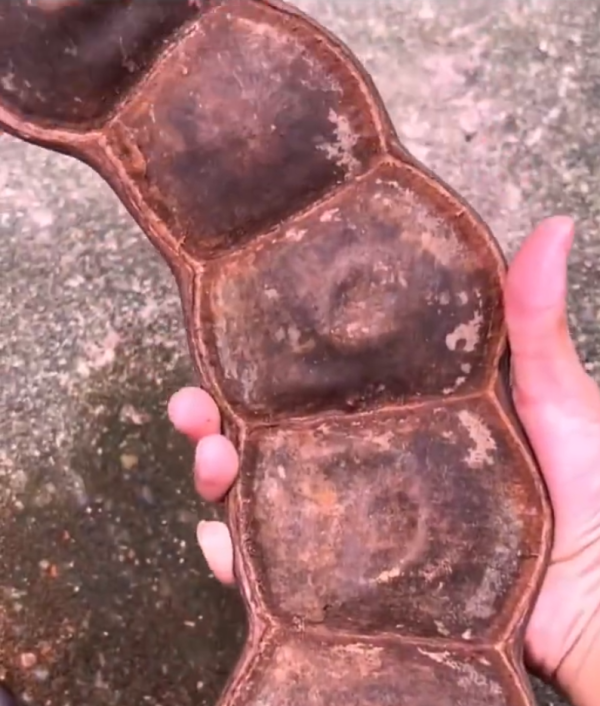 照片來源：微博@爱慕读书 