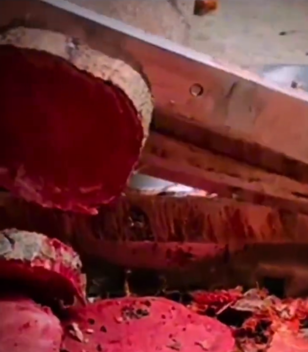 照片來源：微博@爱慕读书 