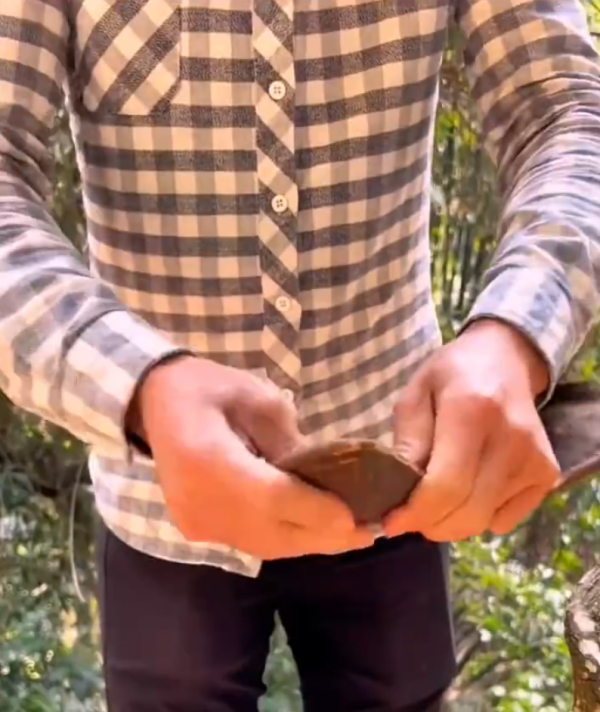 照片來源：微博@爱慕读书 