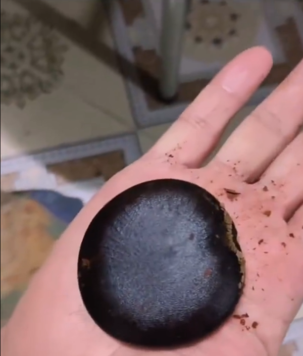 照片來源：微博@爱慕读书 