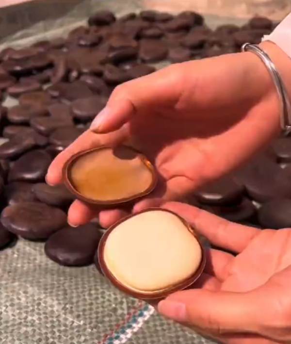 照片來源：微博@爱慕读书 