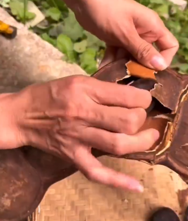 照片來源：微博@爱慕读书 