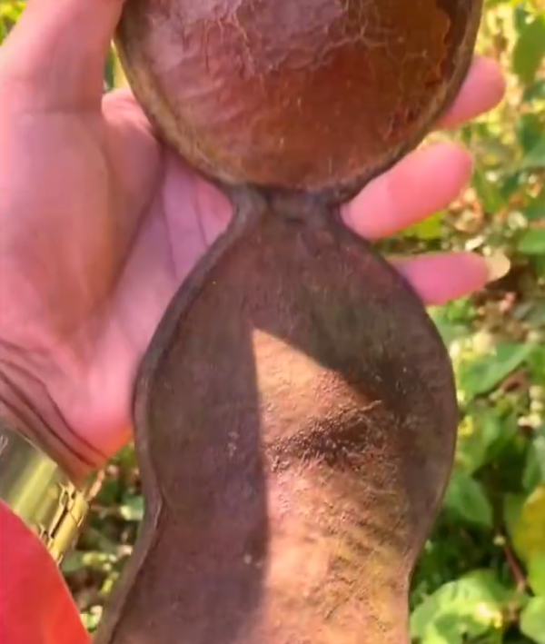 照片來源：微博@爱慕读书 