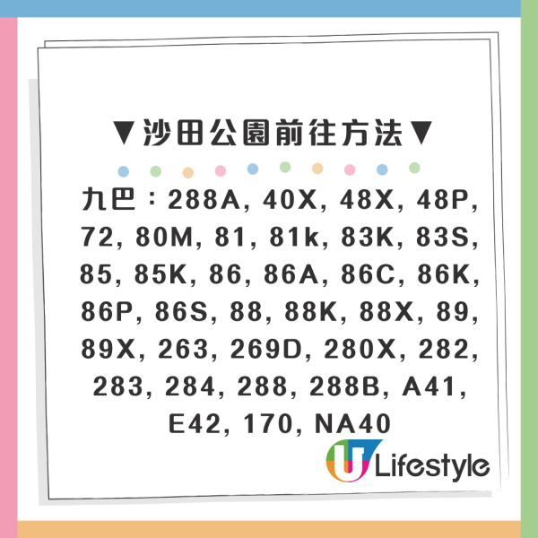 市區賞花！大角咀/沙田「宮粉羊蹄甲」80棵粉紅櫻花滿開 成浪漫隧道 港鐵站即到