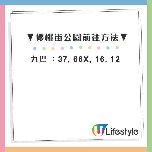 市區賞花！大角咀/沙田「宮粉羊蹄甲」80棵粉紅櫻花滿開 成浪漫隧道 港鐵站即到