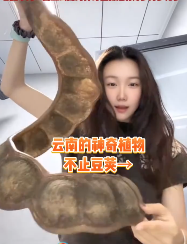 照片來源：微博@云南广播电视台 