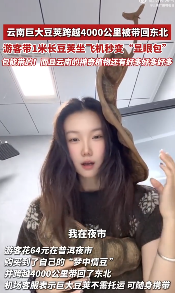 照片來源：微博@云南广播电视台 