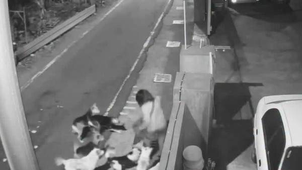 圖片來源：三立新聞網