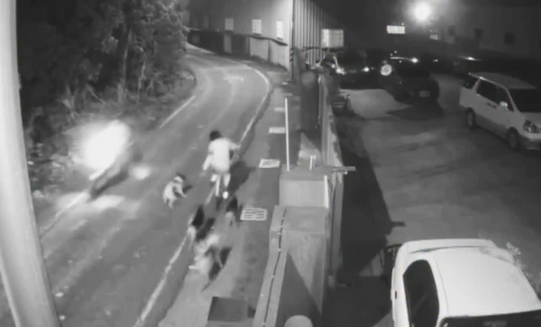 圖片來源：三立新聞網