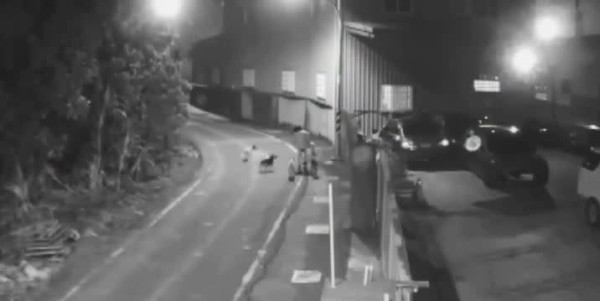 圖片來源：三立新聞網