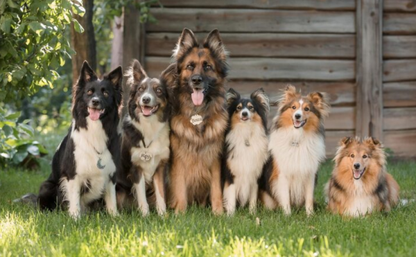 圖片來源：freepik