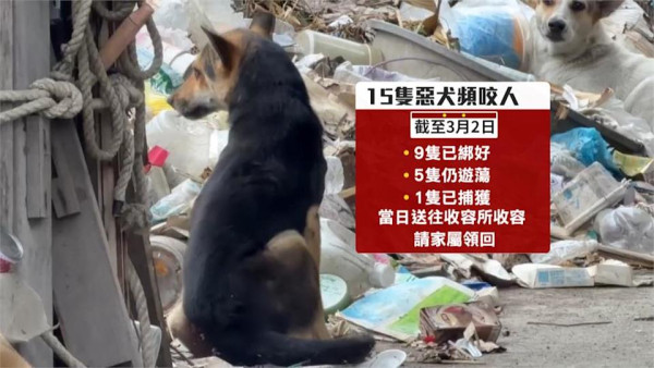 圖片來源：民視新聞網