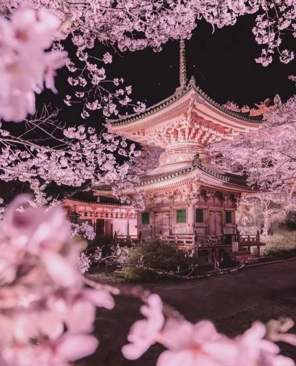 照片來源：小紅書@Midnight.（备考）