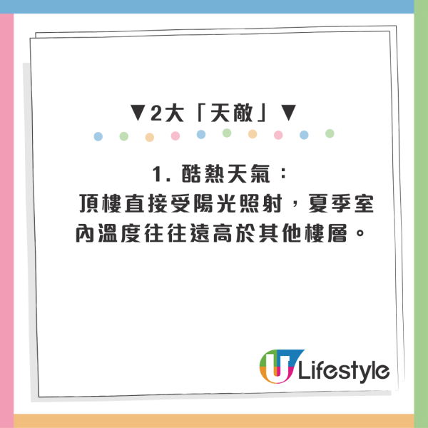 首派公屋高層以為中獎！港男睇樓驚見「𨋢唔到頂」 揭頂樓2大伏位更攞命