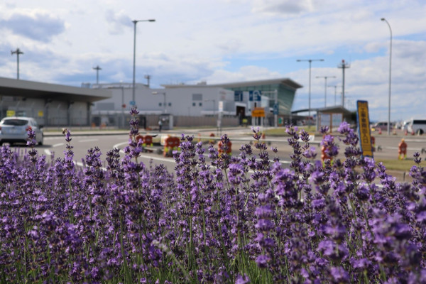 圖片來源：北海道觀光機構