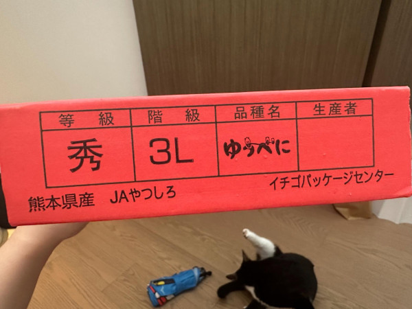 網友疑在大圍買日本假士多啤梨報海關「好難食」 熊本香港事務所教2招辨真假 