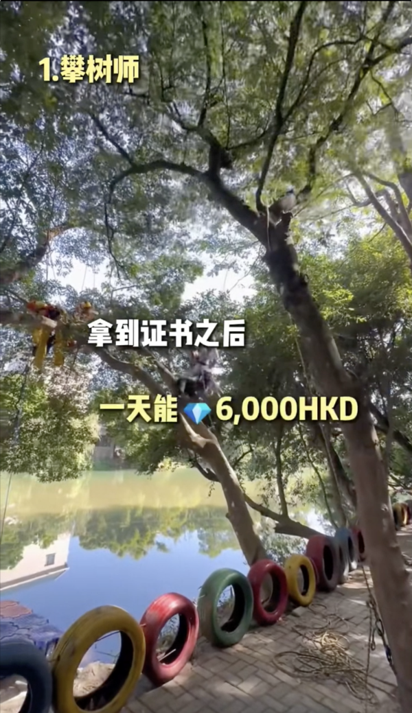 瘋傳香港5大「月入10萬」筍工！吹捧返10日賺6萬 政府數據揭殘酷真相