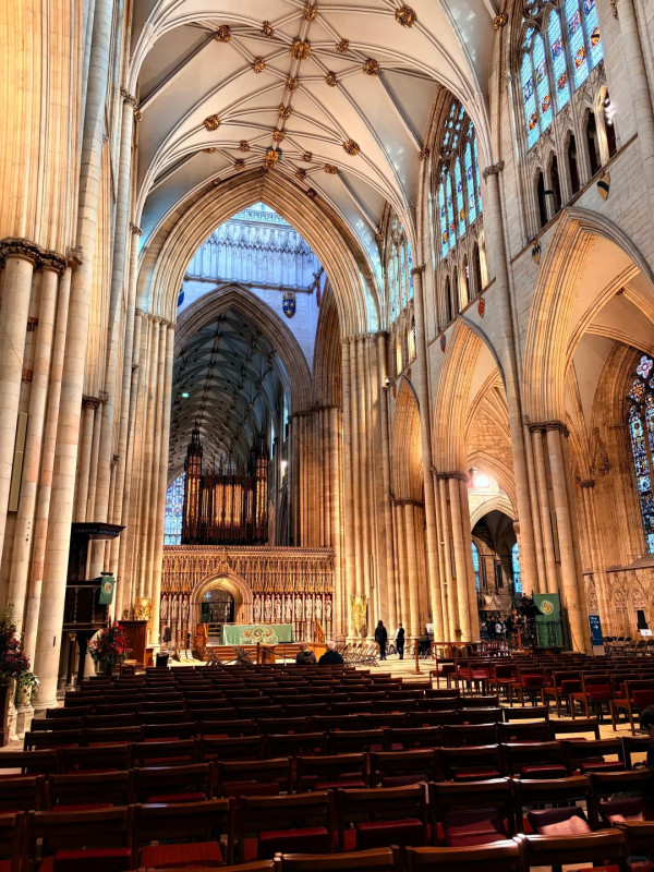 照片來源：小紅書@来份芥末汤圆