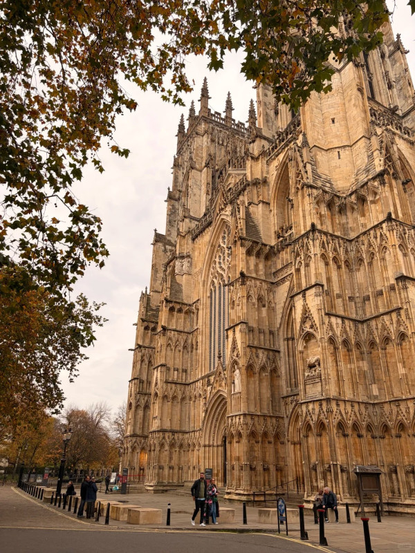 照片來源：小紅書@来份芥末汤圆