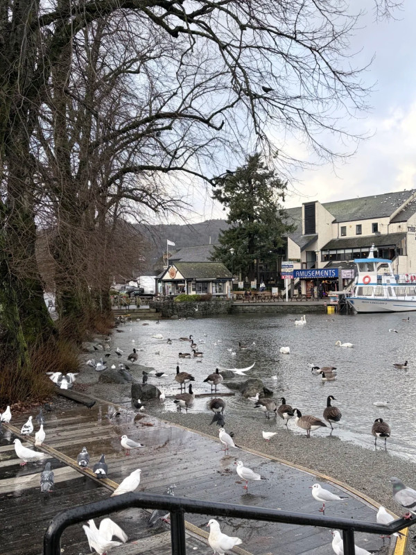 照片來源：小紅書@来份芥末汤圆