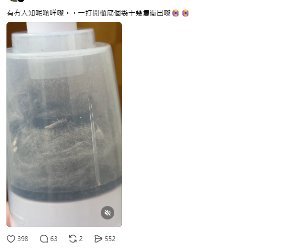 回南天屋企湧現「銀色小蟲」？專咬爛衫真身係衣魚！必學5招天然消滅法