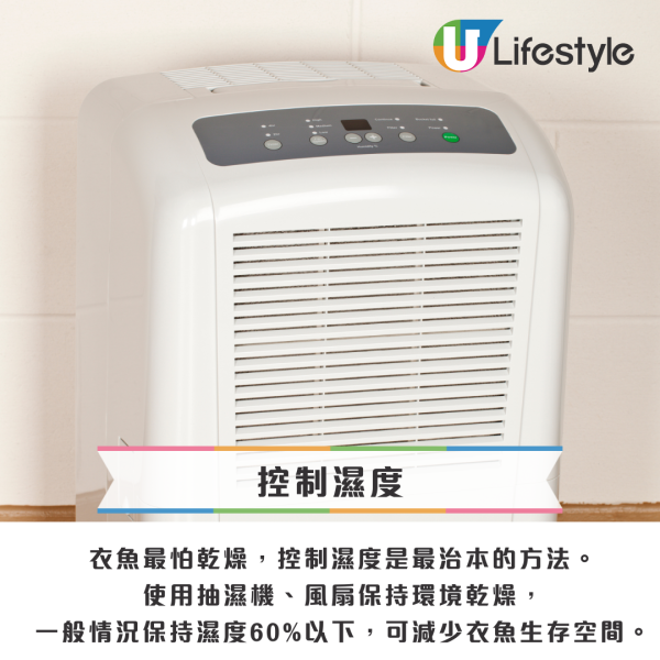 回南天屋企湧現「銀色小蟲」？專咬爛衫真身係衣魚！必學5招天然消滅法