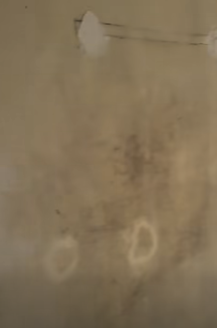 但屋內狀況極為殘舊，天花及牆身油漆大面積剝落，多處出現發霉變黑的痕跡。（圖片來源：Facebook@公屋討論區）