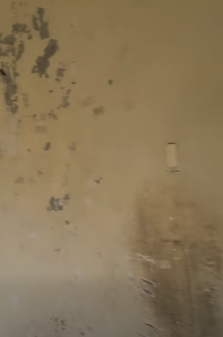 但屋內狀況極為殘舊，天花及牆身油漆大面積剝落，多處出現發霉變黑的痕跡。（圖片來源：Facebook@公屋討論區）