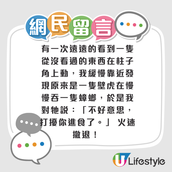 網民奇招殺滅曱甴！實測5日剷平小強巢穴！靠這小動物一物治一物 惟呢類家庭不適用