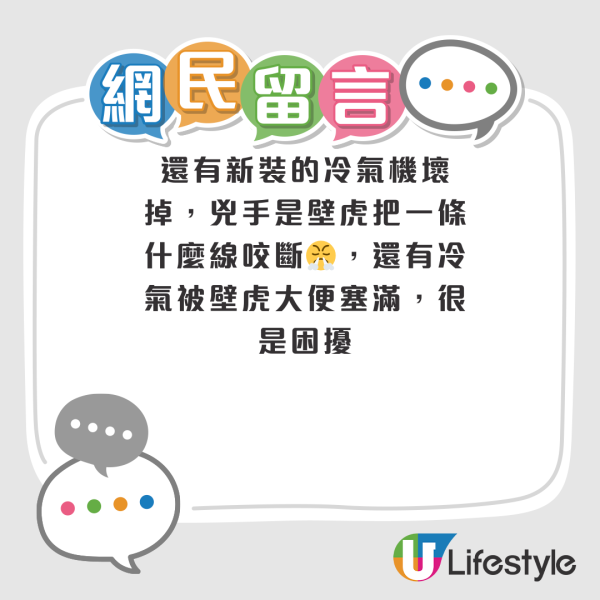 網民奇招殺滅曱甴！實測5日剷平小強巢穴！靠這小動物一物治一物 惟呢類家庭不適用