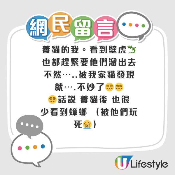 網民奇招殺滅曱甴！實測5日剷平小強巢穴！靠這小動物一物治一物 惟呢類家庭不適用