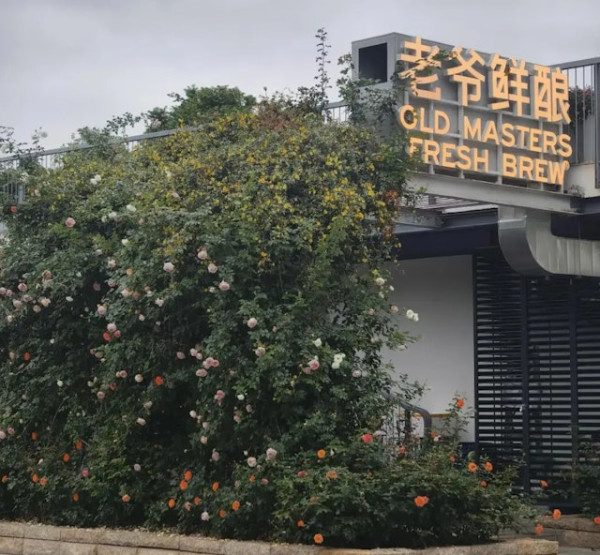 圖片來源：深圳大件事