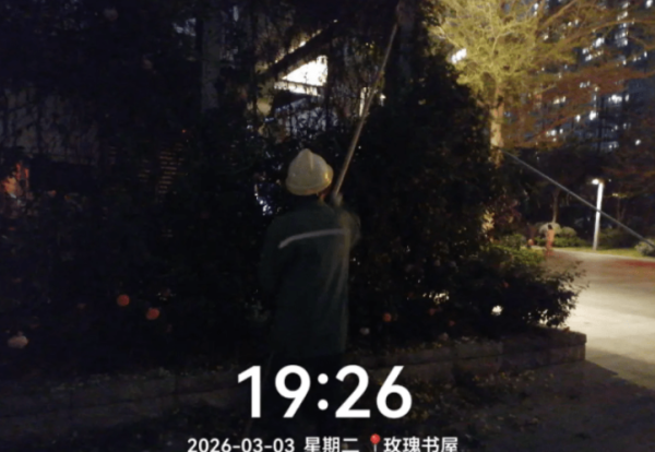 圖片來源：福田區城市管理與綜合執法局