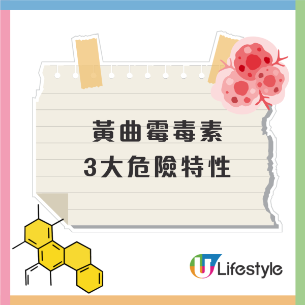 潮濕天慎防廚房食物藥材發霉！10大食品極高危或成致癌物／衛生署+消委會:恐養出肝癌