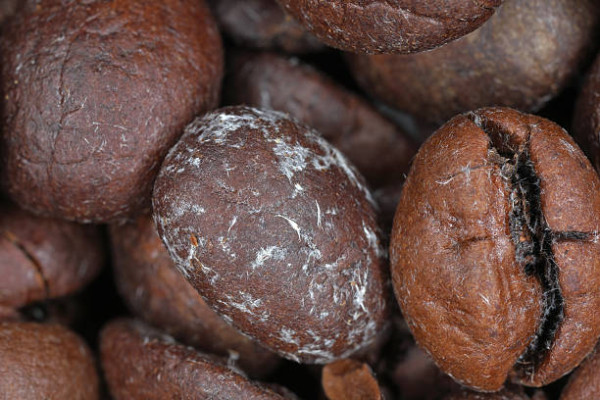 潮濕天慎防廚房食物藥材發霉！10大食品極高危或成致癌物／衛生署+消委會:恐養出肝癌