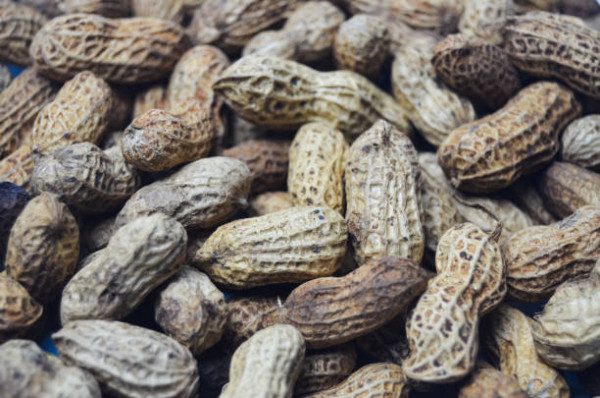 潮濕天慎防廚房食物藥材發霉！10大食品極高危或成致癌物／衛生署+消委會:恐養出肝癌