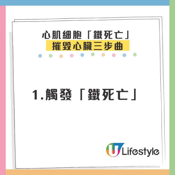 飲酒面紅代表酒量差？城大揭「關公面」致命真相：心肌細胞排隊死亡