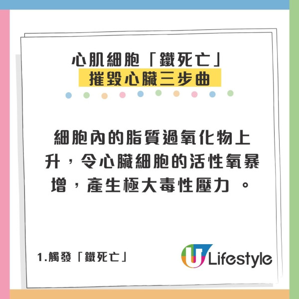 飲酒面紅代表酒量差？城大揭「關公面」致命真相：心肌細胞排隊死亡