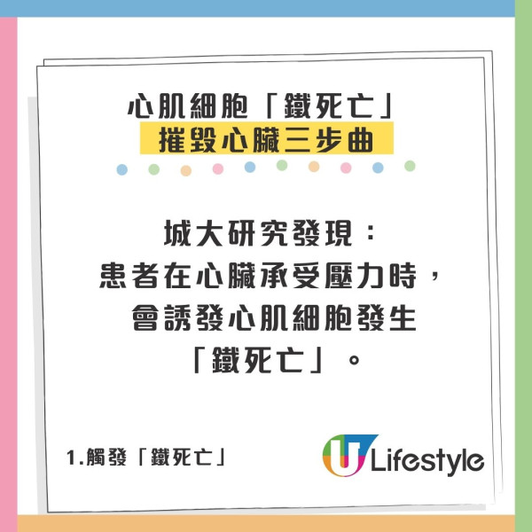 飲酒面紅代表酒量差？城大揭「關公面」致命真相：心肌細胞排隊死亡