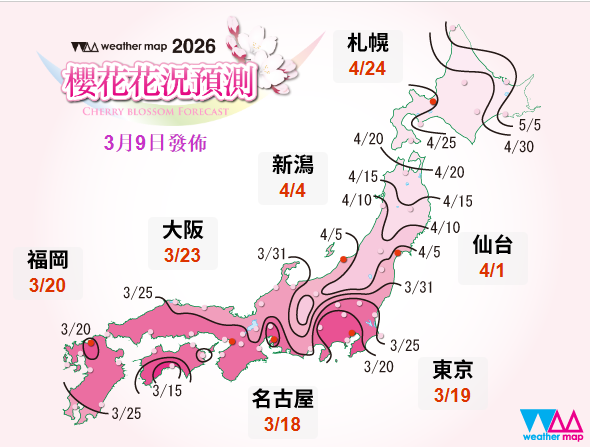 京都櫻花2026｜京都賞櫻好去處10大推介附交通！最美櫻花步道、必睇夢幻夜櫻光影騷 