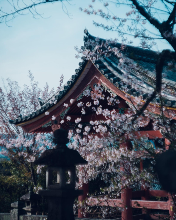圖片來源：IG@feel_kiyomizudera