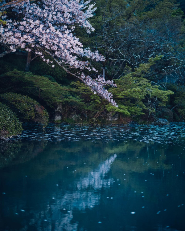 圖片來源：IG@feel_kiyomizudera