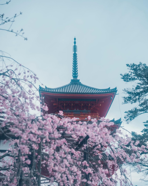 圖片來源：IG@feel_kiyomizudera