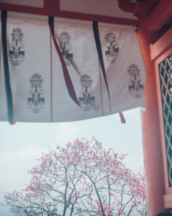 圖片來源：IG@feel_kiyomizudera