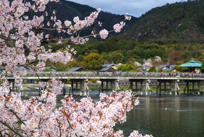 圖片來源：日本觀光局