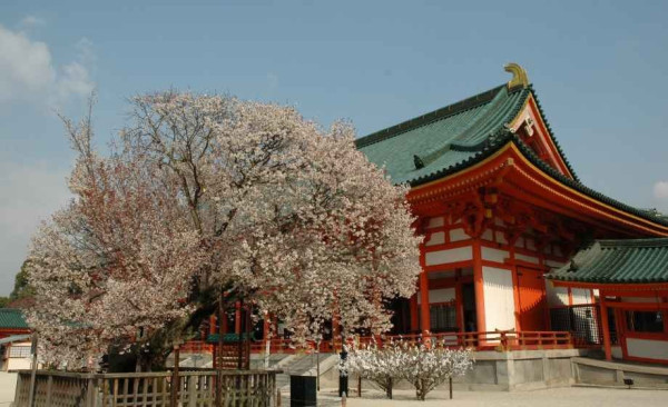 圖片來源：平安神宮