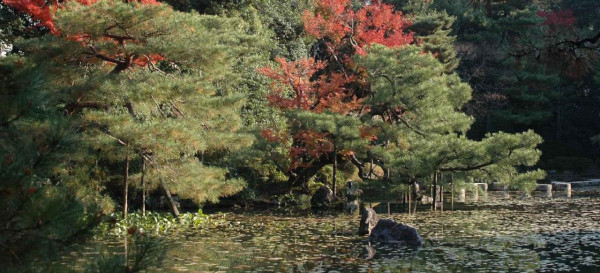 圖片來源：平安神宮