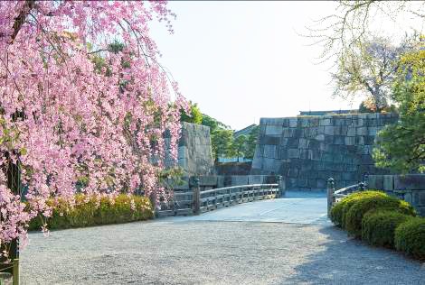 圖片來源：二條城