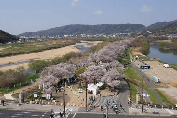 圖片來源：淀川河川公園