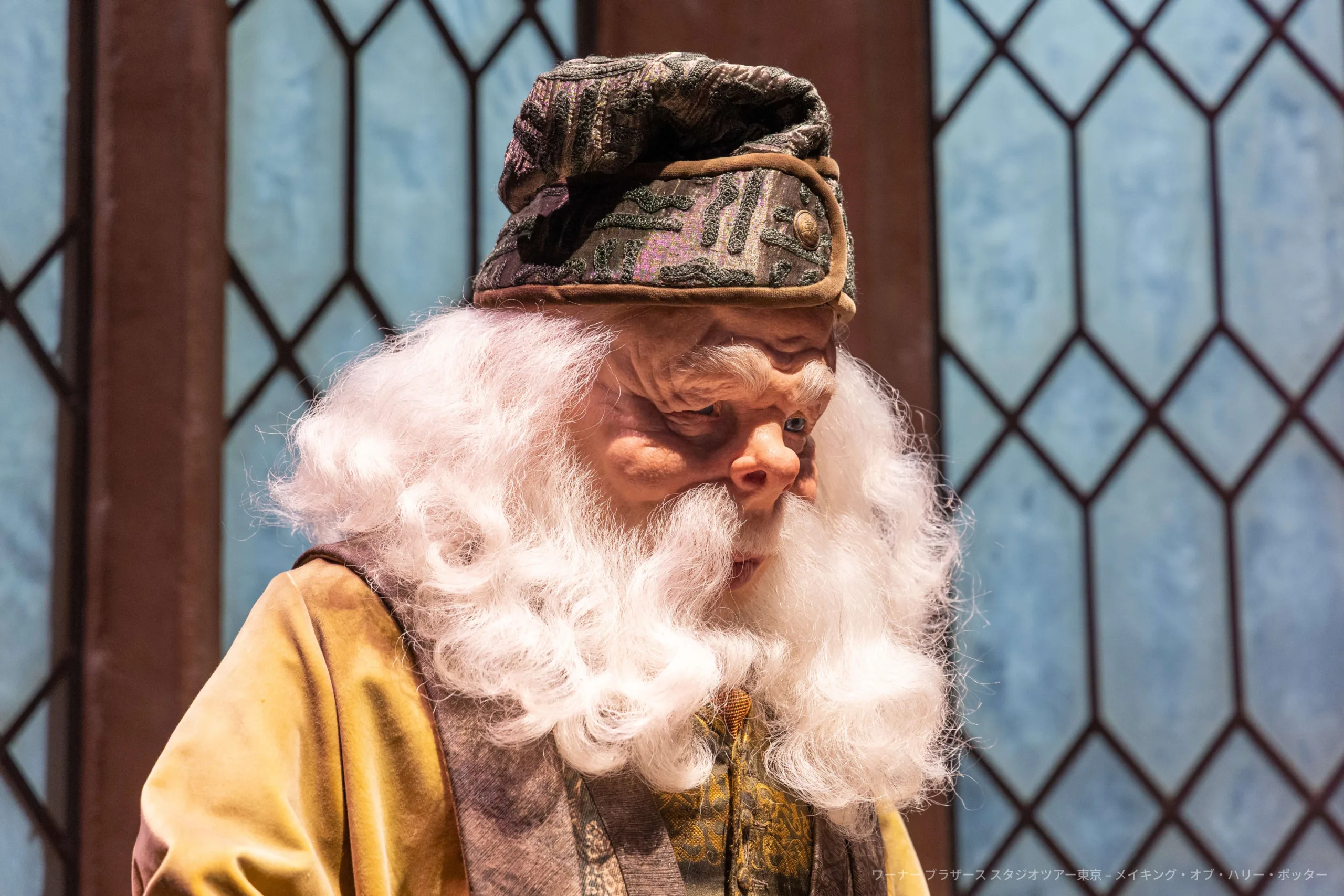 東京哈利波特影城｜25週年限定慶典活動：還原霍格華茲分院儀式、首度公開海格身高、揭隱形斗篷真相 